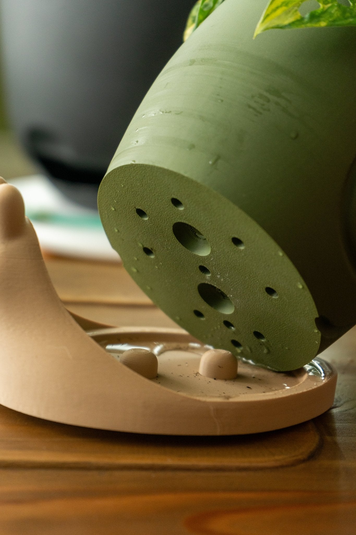 Gary "The Snail" - The Forge