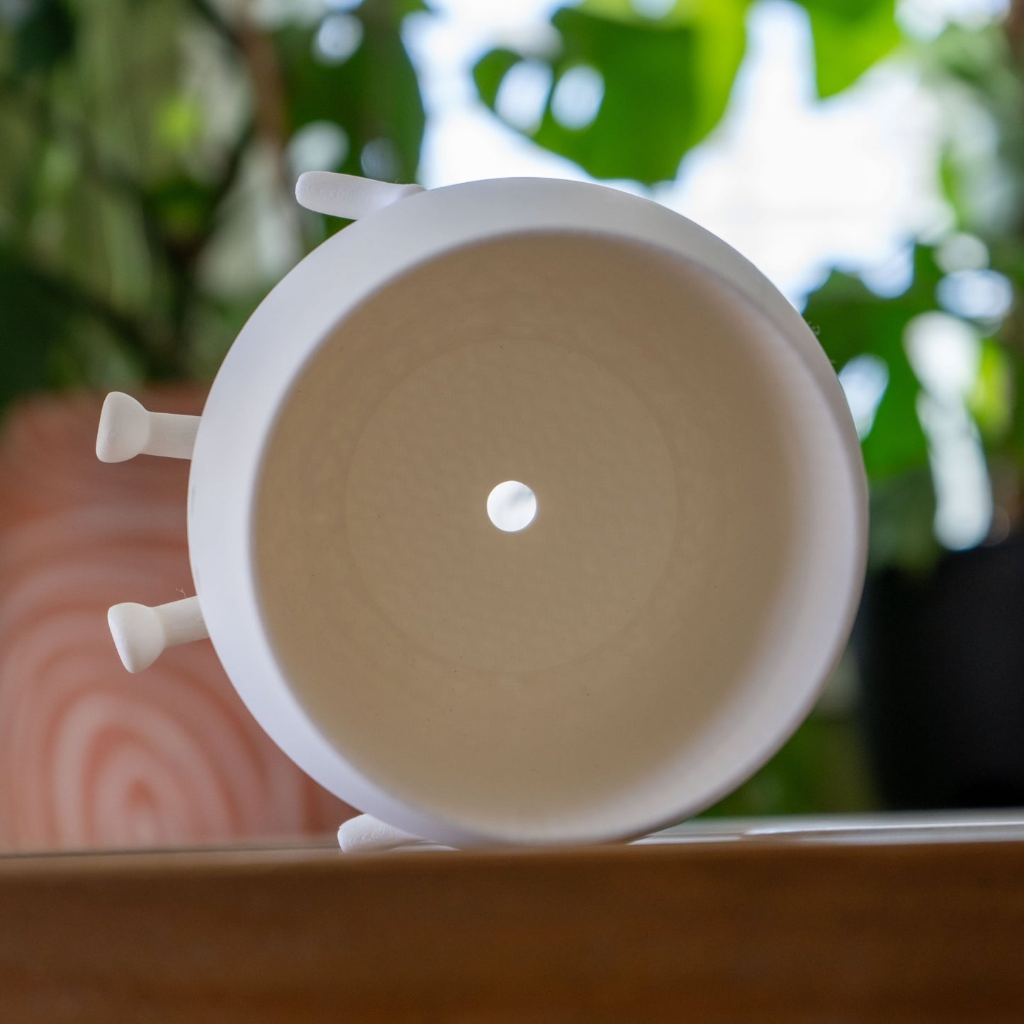 "Sittin' Pretty" - The Forge