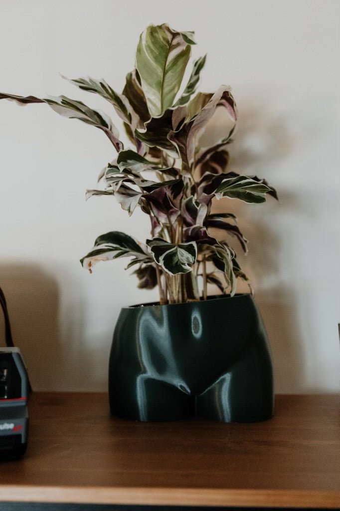 "The Booty Pot" - The Forge x Kayla Ruiz Photo - The Forge