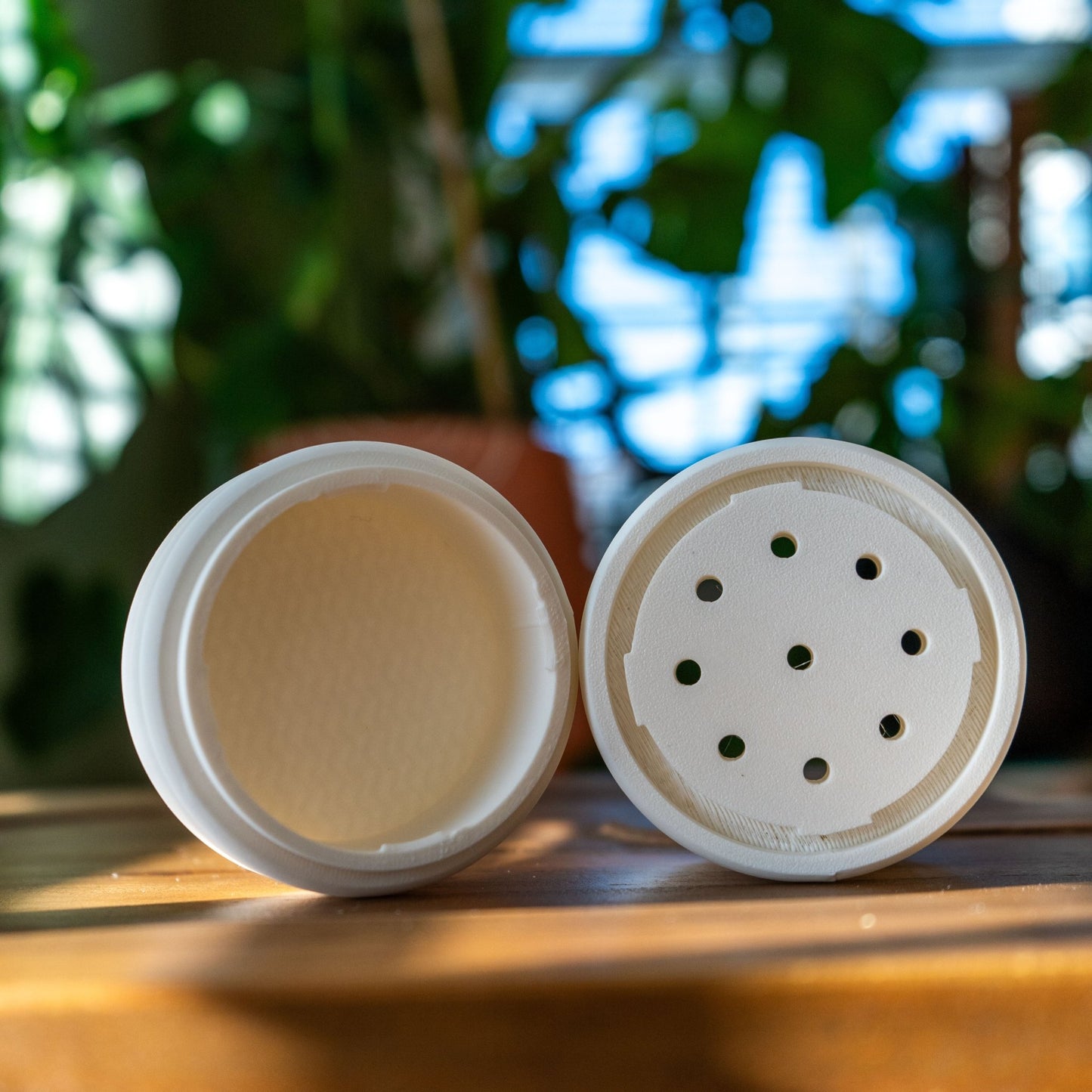 “The Poppy” - The Forge