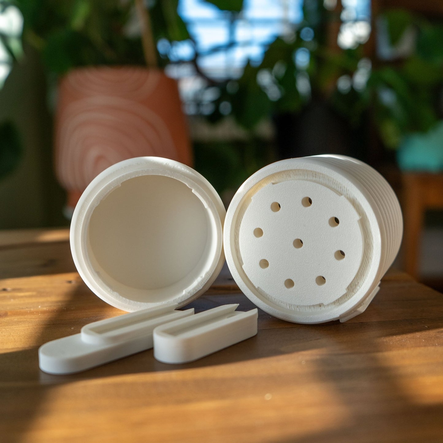 “The Poppy” - Wall Mounted - The Forge