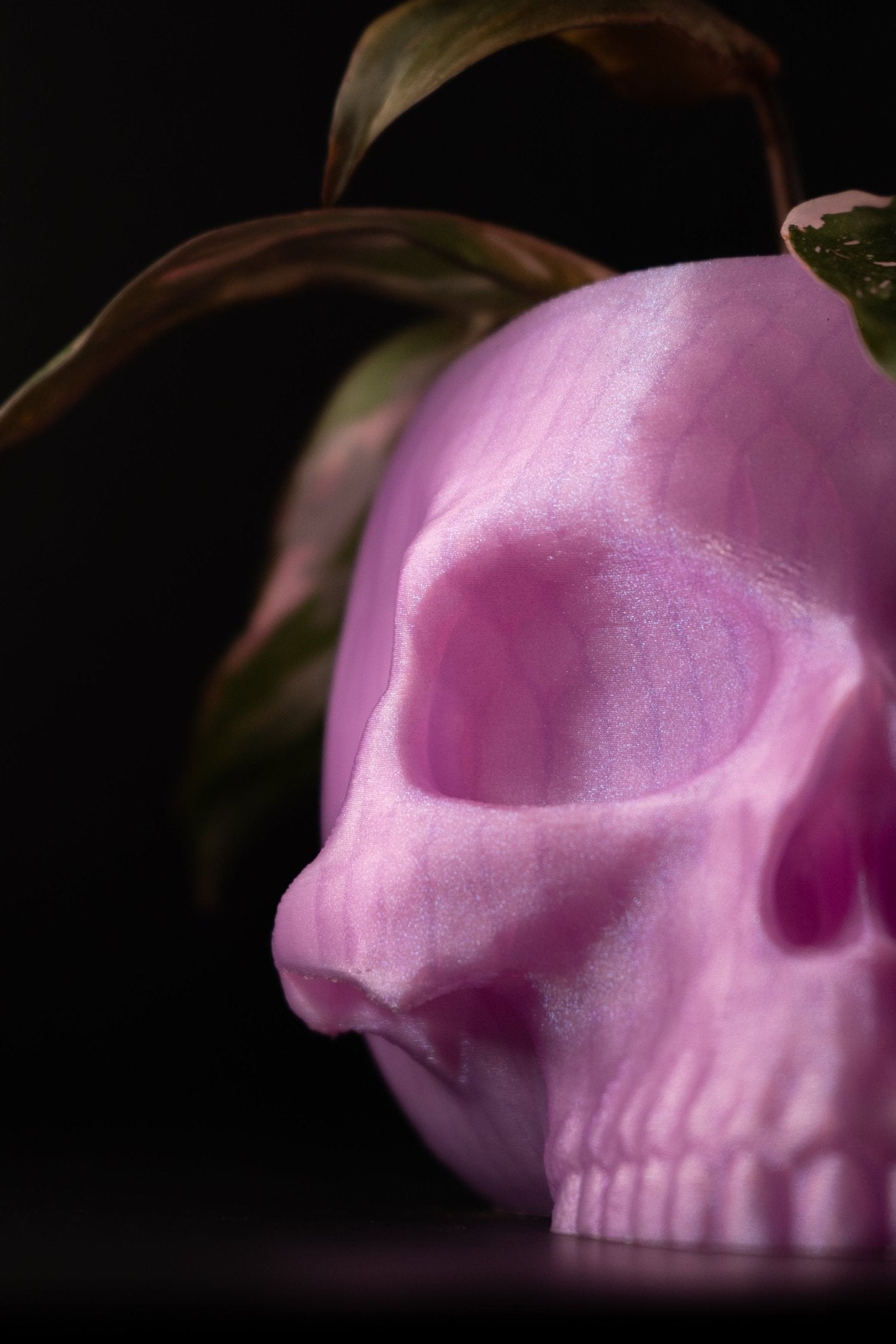 "Voodoo Vessel" - The Forge