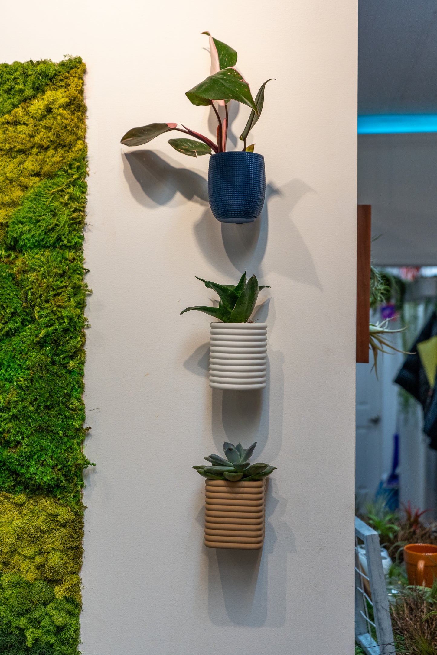 Wall Mounted Planters