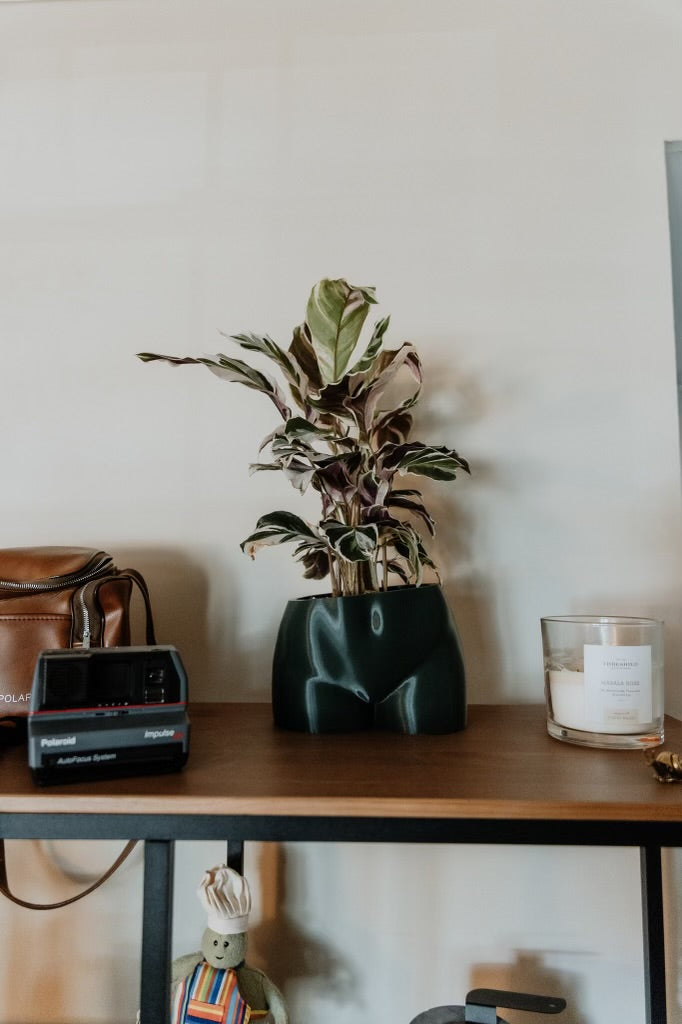 Booty Planter Pot